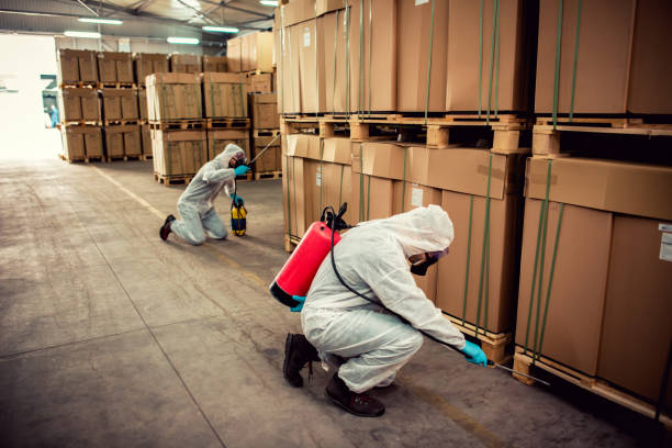 Best Cockroach Control Services  in Tompkinsville, KY