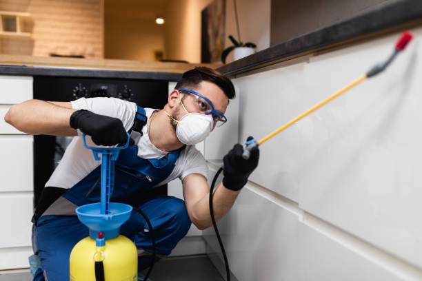 Flea Control Services in Tompkinsville, KY