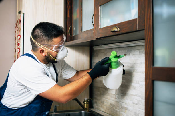 Best Affordable Pest Control Services  in Tompkinsville, KY