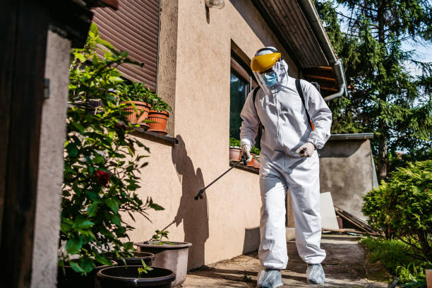 Trusted Tompkinsville, KY Pest Control Experts