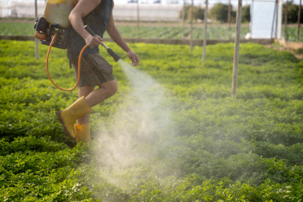 Wasp Removal Services in Tompkinsville, KY