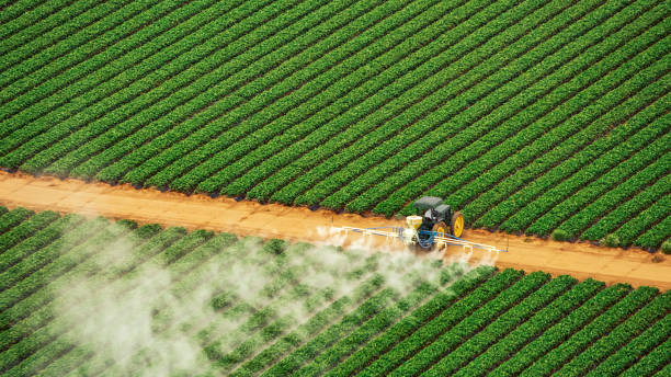 Best Pest Inspection Near Me  in Tompkinsville, KY