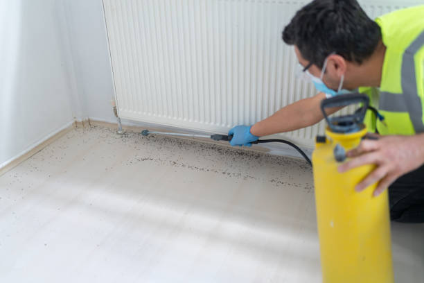 Best Best Pest Control Companies  in Tompkinsville, KY